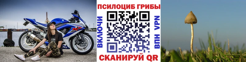 Псилоцибиновые грибы Cubensis  Фокино 