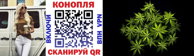 Бошки Шишки Amnesia Фокино